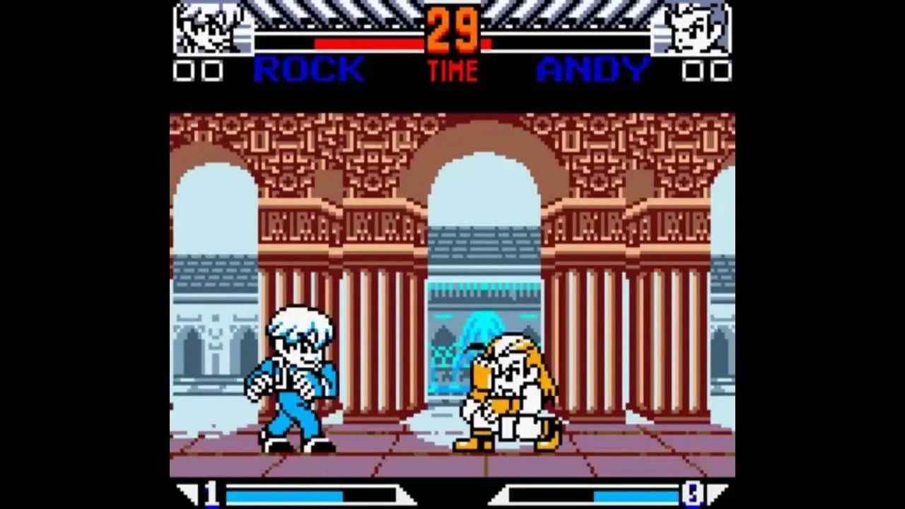 Garou: Mark of the Wolves | Game Boy Color Fighting Game Cartridge