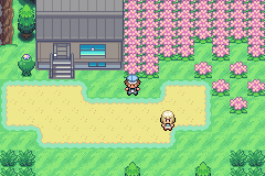 Pocket Monsters Scale × Fang – GBA Cartridge · Demo · RTC