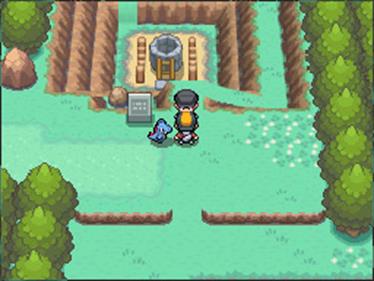 Pokémon SoulSilver Version — DS in-game screenshot 2