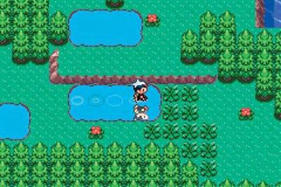 Pokémon Ruby Version — Game Boy Advance in-game screenshot 1