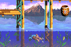 Donkey Kong Country 3 – GBA Cartridge