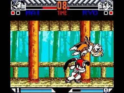 Garou: Mark of the Wolves | Game Boy Color Fighting Game Cartridge