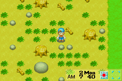 Harvest Moon: Friends of Mineral Town – in-game screenshot 1