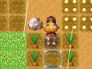 Rune Factory: A Fantasy Harvest Moon — Nintendo DS in-game screenshot 1
