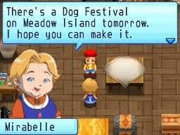 Harvest Moon DS: Sunshine Islands — Nintendo DS in-game screenshot 1