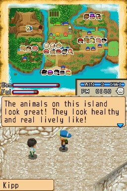 Harvest Moon: Island of Happiness — Nintendo DS in-game screenshot 2