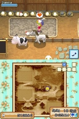 Harvest Moon DS: Grand Bazaar — Nintendo DS in-game screenshot 1