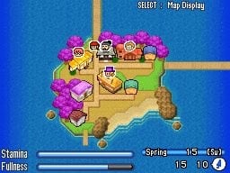 Harvest Moon DS: Sunshine Islands — Nintendo DS in-game screenshot 2