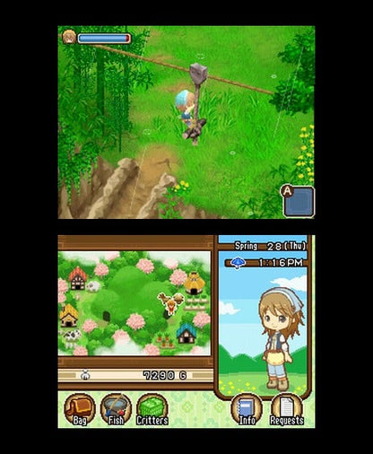 Harvest Moon DS: The Tale of Two Towns — Nintendo DS in-game screenshot 1