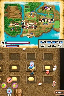 Harvest Moon: Island of Happiness — Nintendo DS in-game screenshot 1