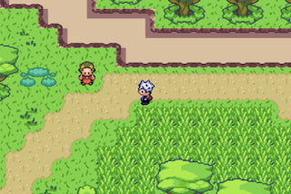 Pokémon Chrome – GBA Cartridge (French)