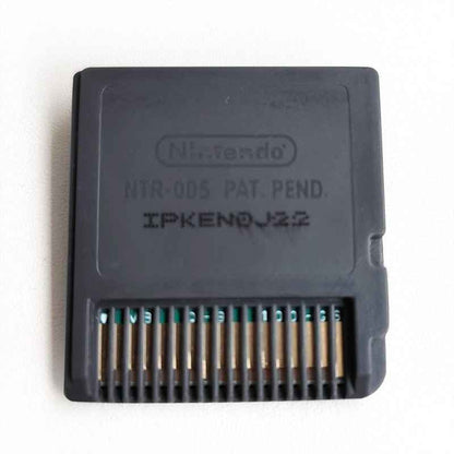 Pokemon Dash Game Case & Cart