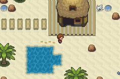 Pokémon Éclat Pourpre – in-game screenshot 1