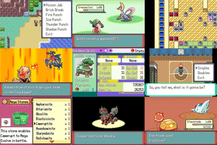 Pokémon Run & Bun – in-game screenshot 1